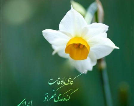 عکس نوشته حدیث مهدوی