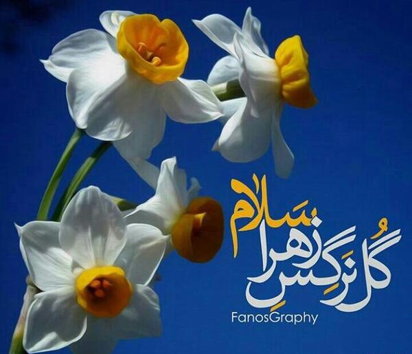 عکس نوشته نرجس فاطمه