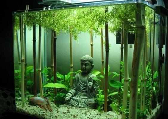 عکس ایده برای آکواریوم