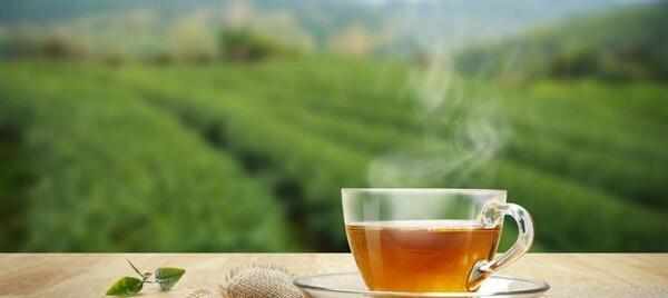 عکس استکان چای در طبیعت