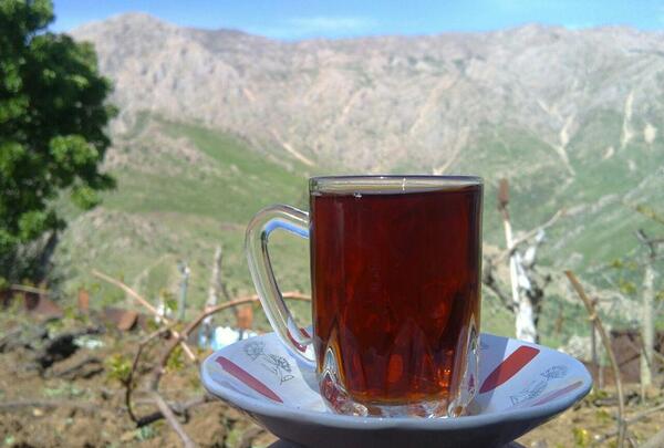 عکس استکان چای در طبیعت