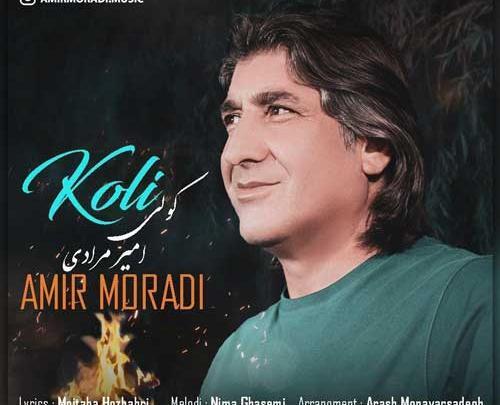 عکس امیر محمد مرادی
