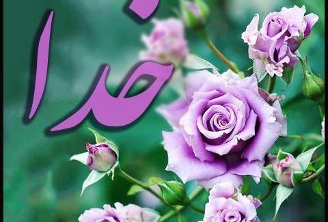 عکس خدا سبز