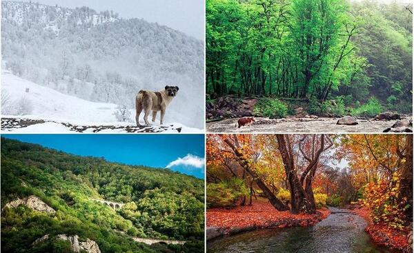 عکس از طبیعت زیبای ایران