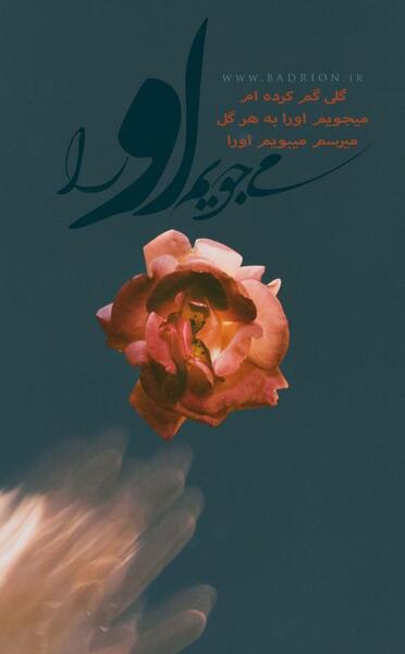 عکس نوشته گلی گم کرده ام میجویم اورا