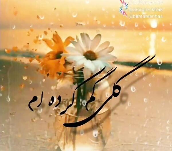 عکس نوشته گلی گم کرده ام میجویم اورا