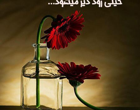 عکس مفهومی زندگی