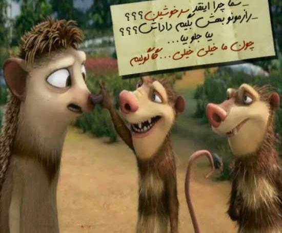 عکس های جالب خاص