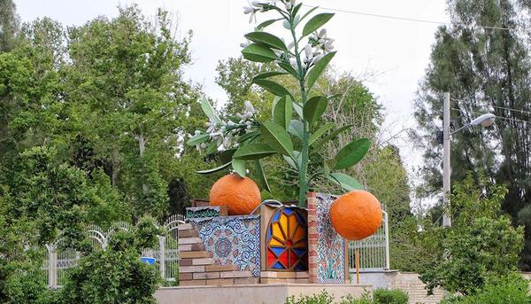 عکس شکوفه پرتقال