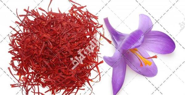 عکس گل زعفران با کیفیت