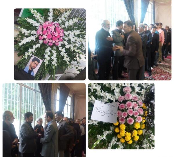 عکس پوریا محسنی
