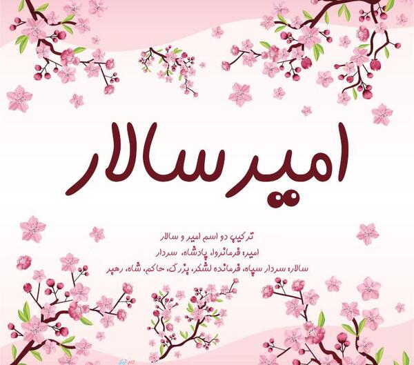عکس نوشته امیر سالار