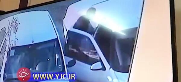 عکس داوود گردن