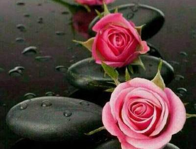عکس های زیبا همدلی