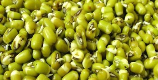 عکس سبزه با لپه