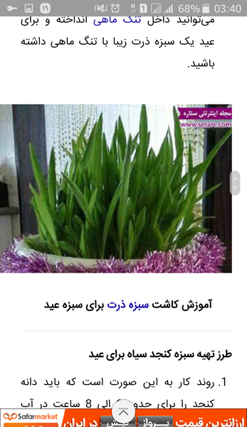 عکس سبزه با لپه