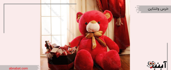 عکس ولنتاین خرس