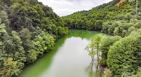 عکس از طبیعت ساری