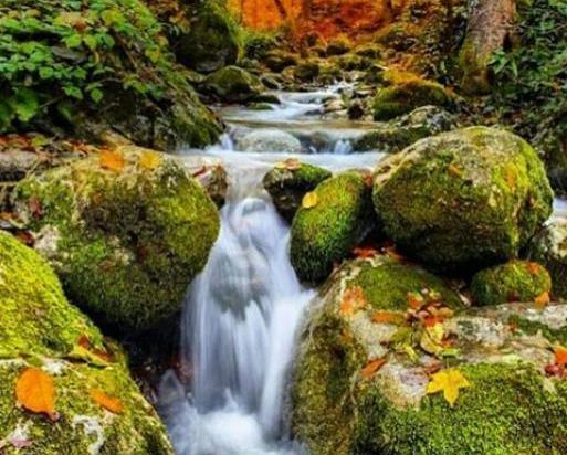 عکس از طبیعت ساری