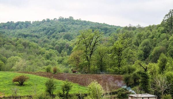 عکس از طبیعت ساری