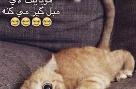 عکس خنده دار ضد پسر