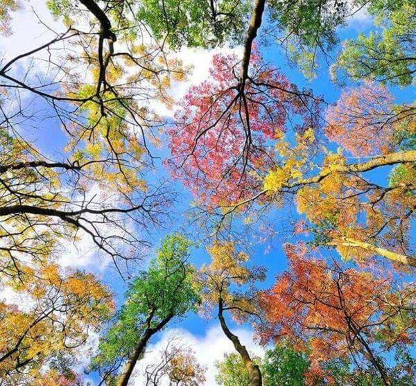 عکس شاد طبیعت برای پروفایل