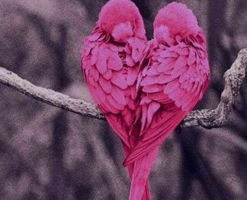 عکس پروفایل پسرانه صورتی