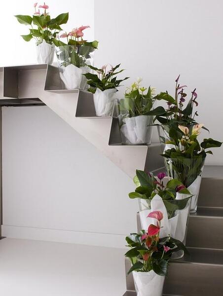 عکس ایده برای چیدن گل در خانه