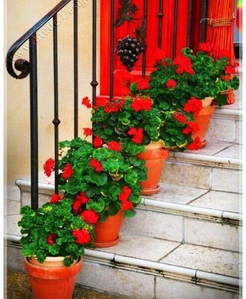 عکس ایده برای چیدن گل در خانه