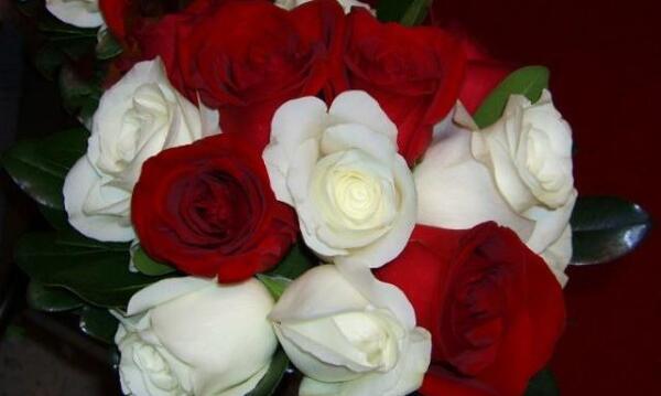 عکس دسته گل رز سفید
