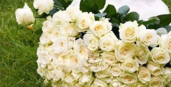 عکس دسته گل رز سفید