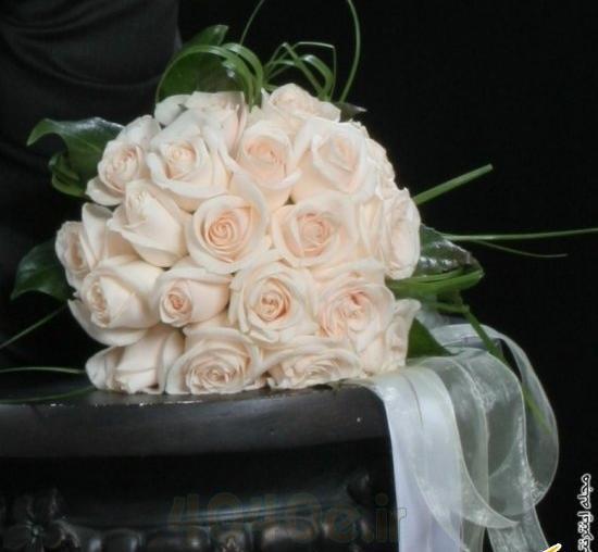 عکس دسته گل رز سفید