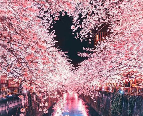عکس بهاری غمگین