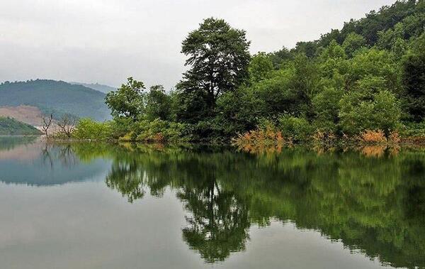 عکس از طبیعت لفور