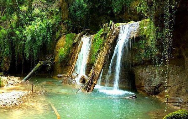 عکس از طبیعت لفور