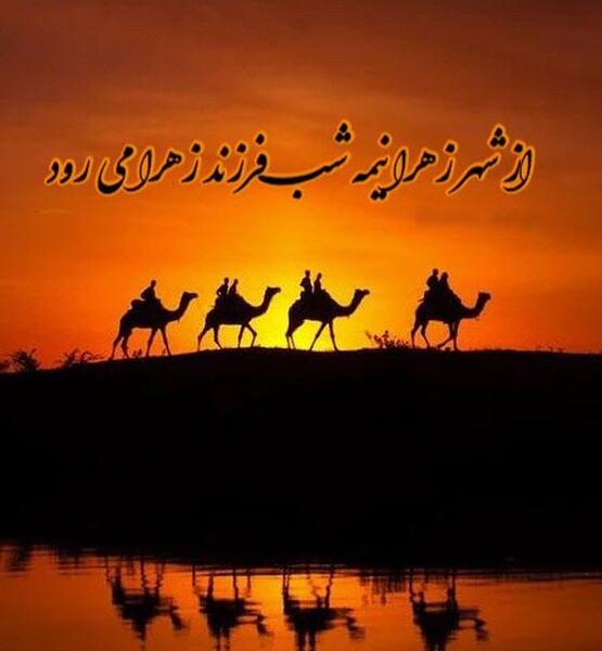 عکس قافله شتر