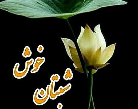 عکس شب بخیر بچه های گروه