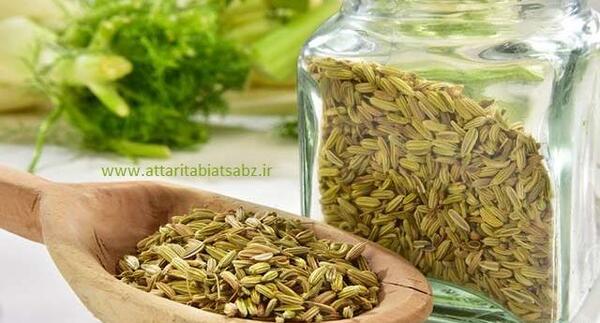 عکس رازیانه و بادیان