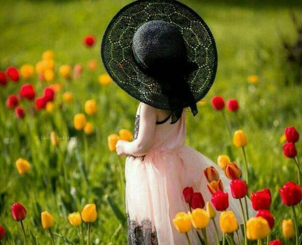 عکس زیبا منظره و گل