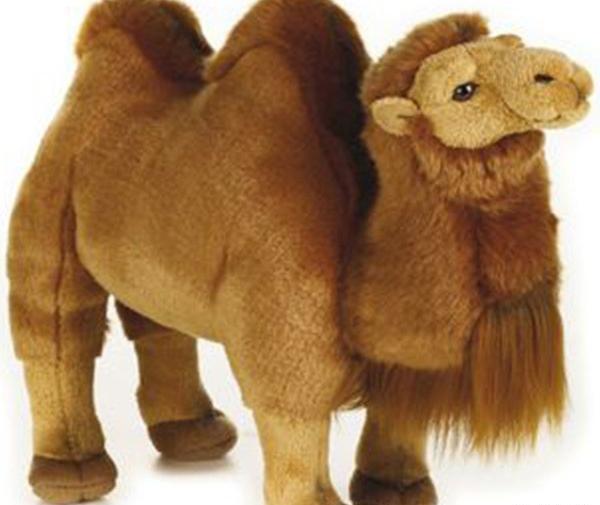 عکس عروسک شتر