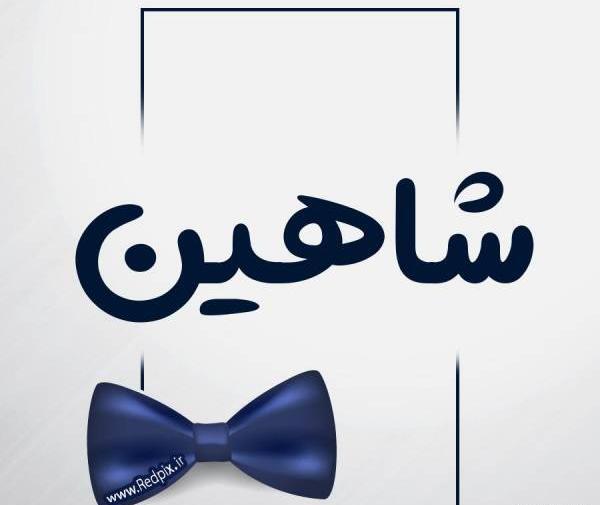 عکس نوشته از شاهین