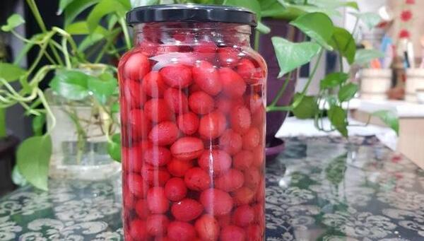 عکس ترشی زغال اخته