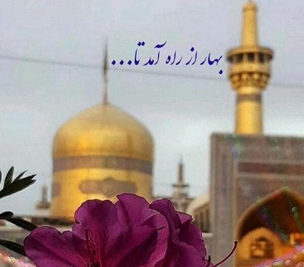 عکس بهاری حرم امام رضا