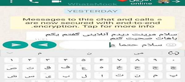 عکس چت مرینت و آدرین