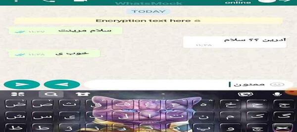 عکس چت مرینت و آدرین