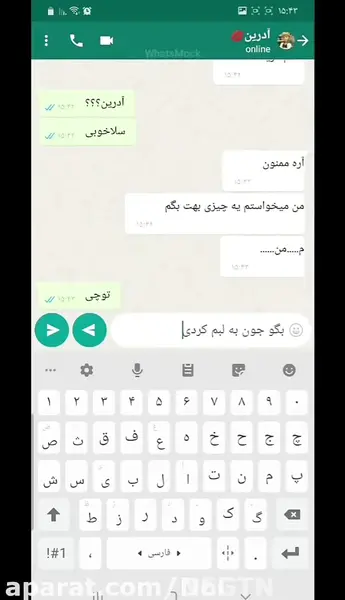 عکس چت مرینت و آدرین