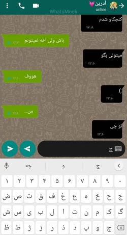 عکس چت مرینت و آدرین