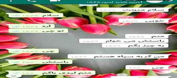 عکس چت مرینت و آدرین