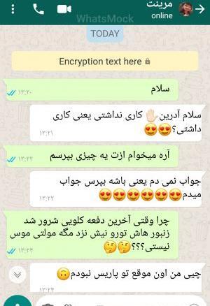 عکس چت مرینت و آدرین