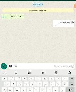 عکس چت مرینت و آدرین